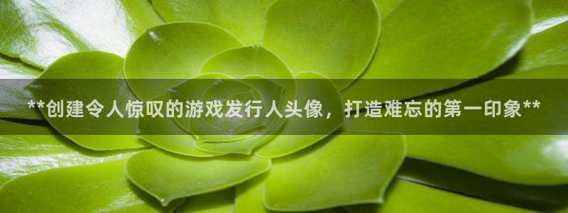 新城平台登录入口：**创建令人惊叹的游戏发行人头像，打造难忘的第一印象**