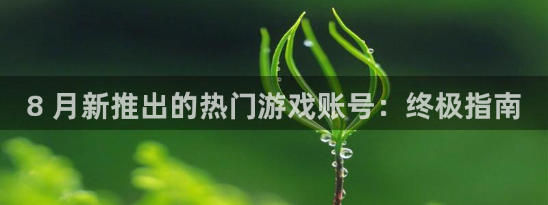 新城平台登录入口官网网址查询：8 月新推出的热门游戏账号：终极指南