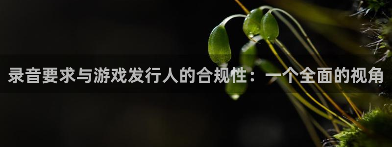 新城平台登录入口官网