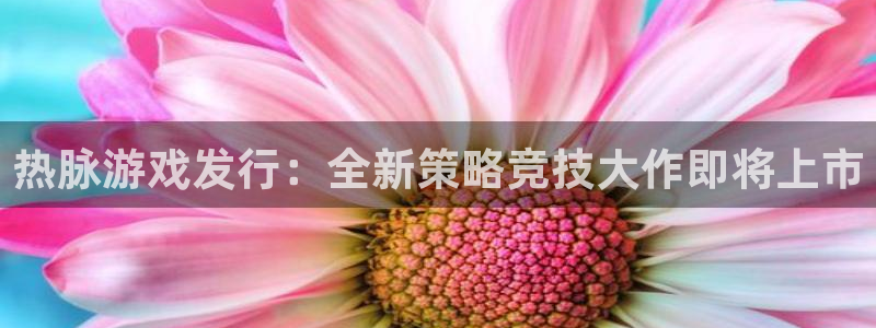 新城平台主管