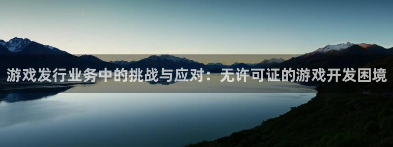 新城平台公司