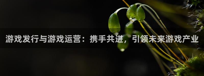 新城平台注册网址