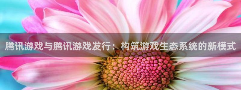 新城平台开户