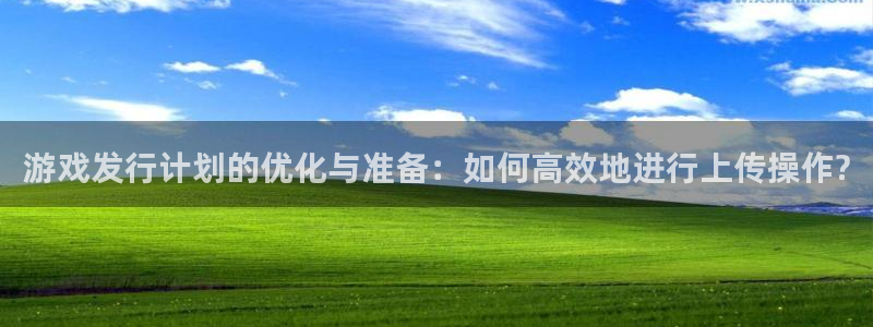 新城平台招商