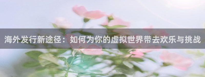 新城平台注册公司流程图