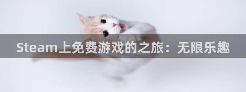 新城平台属于哪个系列