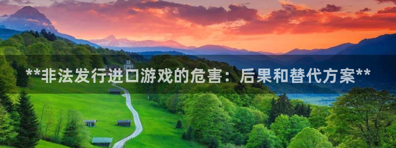 新城平台负责人电话：**非法发行进口游戏的危害：后果和替代方案**