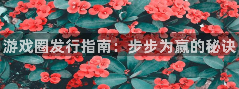 新城平台怎么样：游戏圈发行指南：步步为赢的秘诀