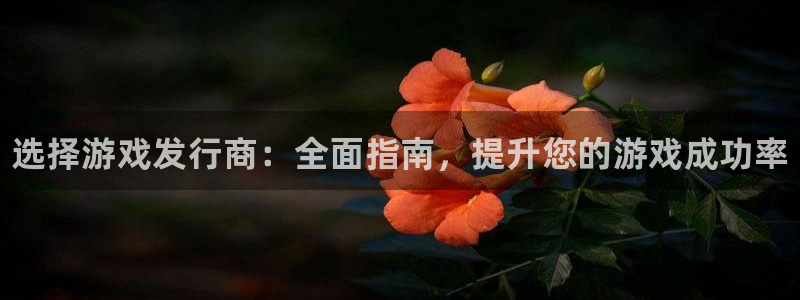 新城平台线路登录不上去怎么回事儿：选择游戏发行商：全面指南，提升您的游戏成功率