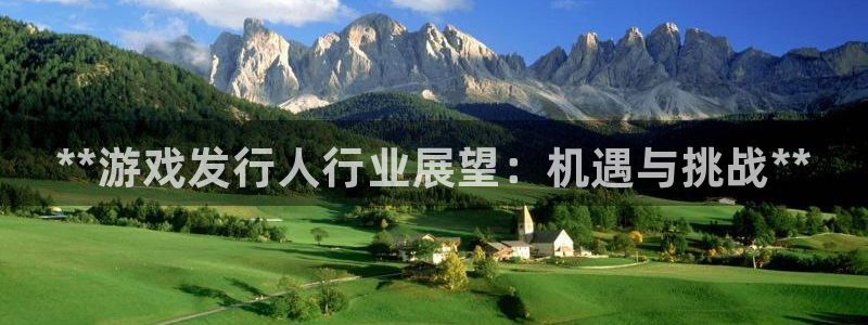 新城平台登录入口官网网址查询：**游戏发行人行业展望：机遇与挑战**