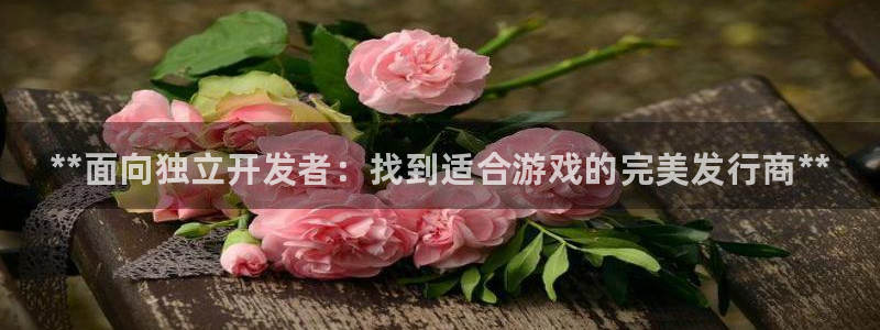 新城平台代理怎么做：**面向独立开发者：找到适合游戏的完美发行商**