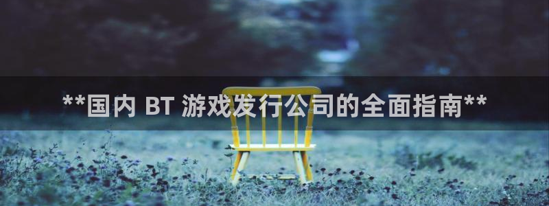 新城平台是干嘛的公司有哪些：**国内 BT 游戏发行公司的全面指南**