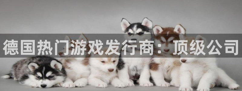 新城平台注册资金多少钱：德国热门游戏发行商：顶级公司