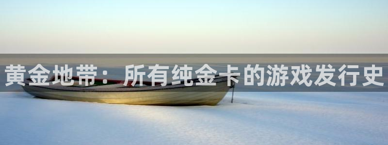 新城平台代理注册公司：黄金地带：所有纯金卡的游戏发行史