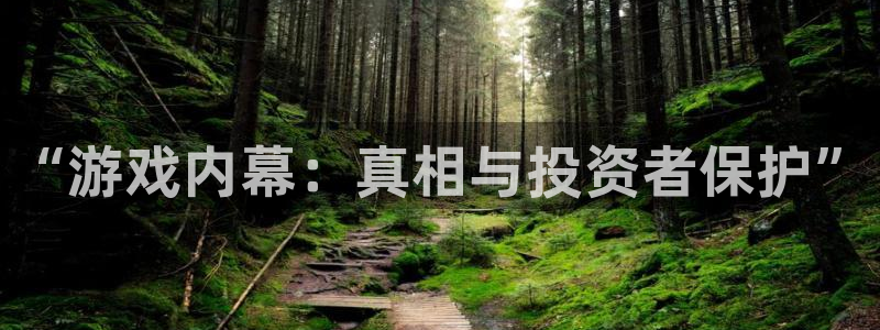 新城平台线路登录：“游戏内幕：真相与投资者保护”