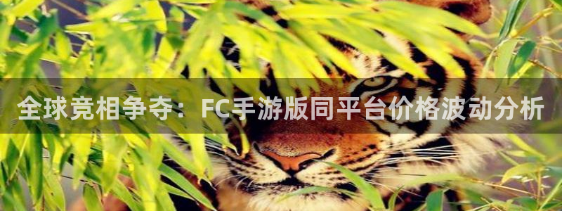 新城平台网址：全球竞相争夺：FC手游版同平台价格波动分析