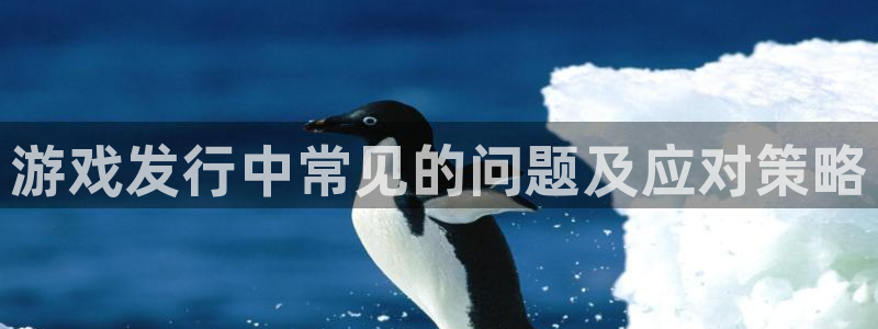 新城平台代理：游戏发行中常见的问题及应对策略