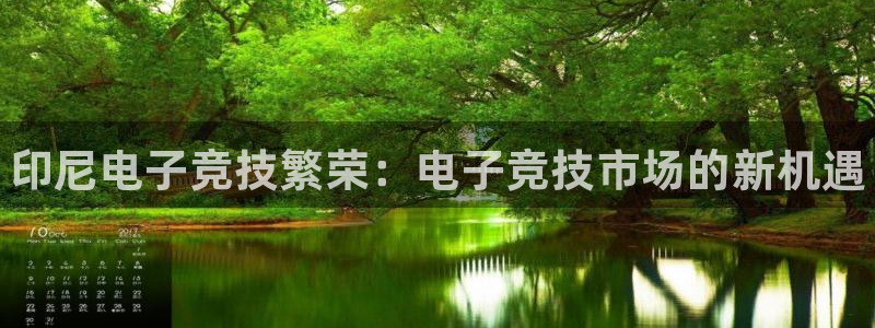 新城平台登录密码忘了怎么办：印尼电子竞技繁荣：电子竞技市场的新机遇