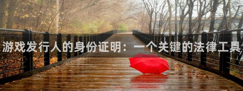 新城平台怎么样：游戏发行人的身份证明：一个关键的法律工具