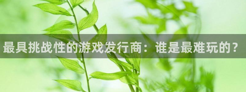 新城平台游戏：最具挑战性的游戏发行商：谁是最难玩的？