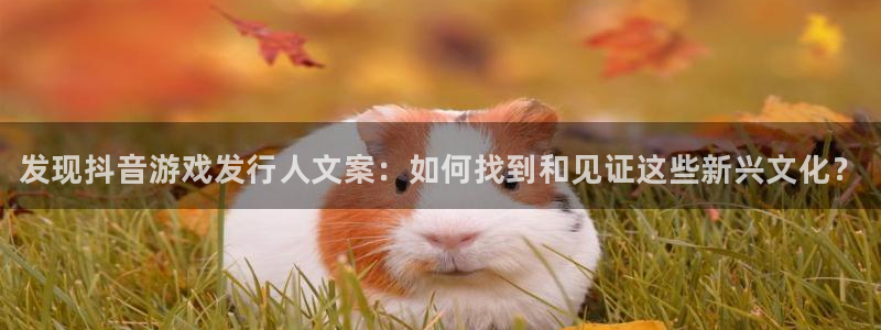 新城平台负责人是谁：发现抖音游戏发行人文案：如何找到和见证这些新兴文化？