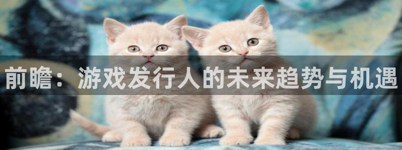 新城平台登录入口网站：前瞻：游戏发行人的未来趋势与机遇