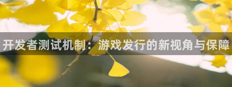 新城平台线路登录不上去怎么回事呀