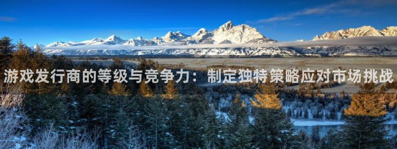 新城平台平台最新活动信息