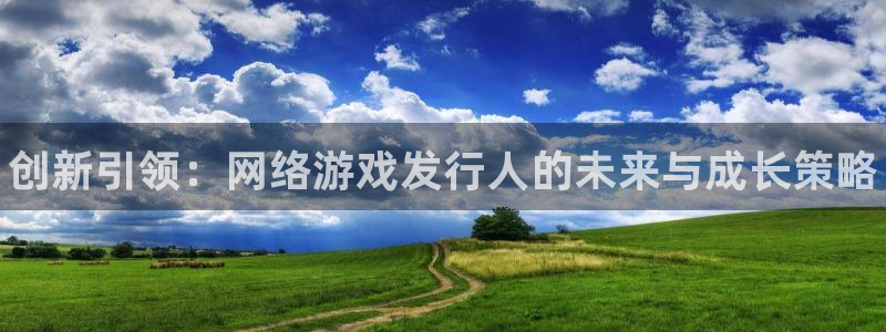 新城平台线路登录不上去了怎么回事