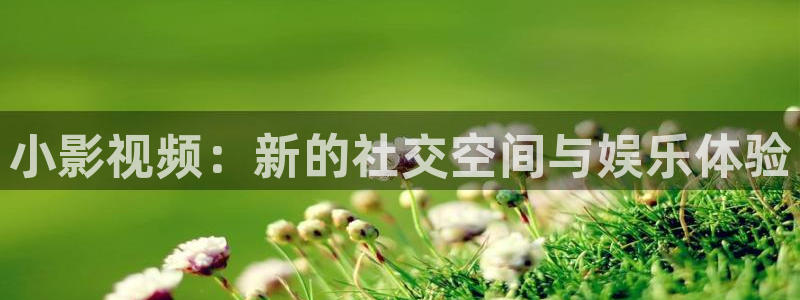 天龙影院首页：小影视频：新的社交空间与娱乐体验