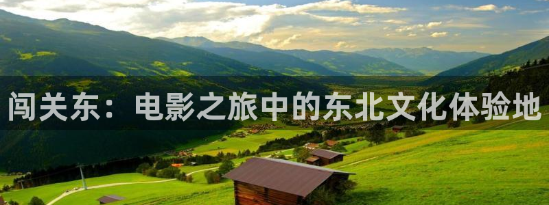 天龙影院2025年最新款的电视剧：闯关东：电影之旅中的东北文化体验地