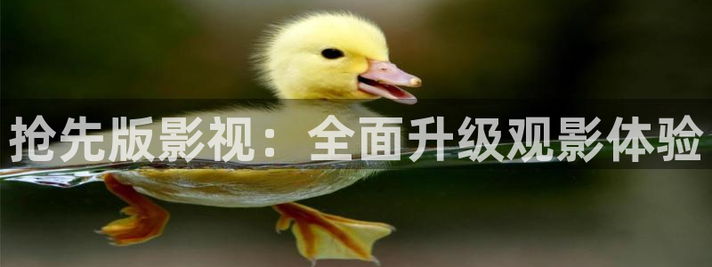 天龙影院手机版在线观看：抢先版影视：全面升级观影体验