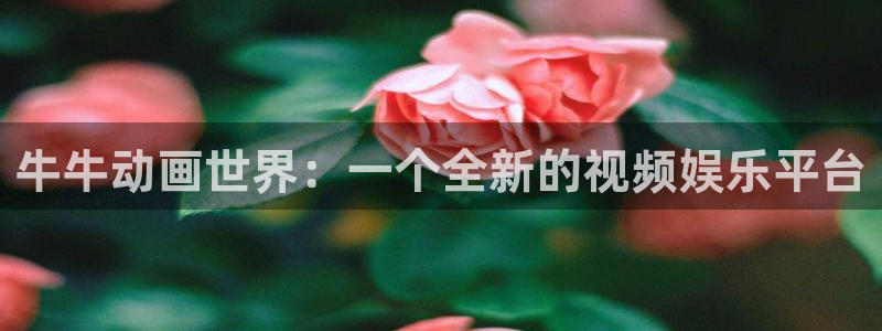 天龙电影：牛牛动画世界：一个全新的视频娱乐平台