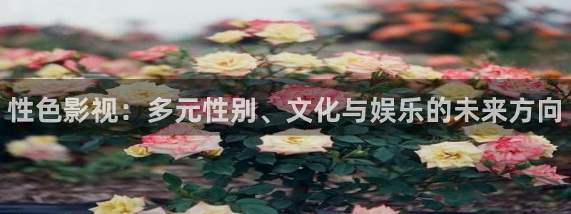 天龙影片：性色影视：多元性别、文化与娱乐的未来方向