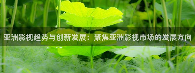 天龙影院伦理：亚洲影视趋势与创新发展：聚焦亚洲影视市场的发展方向