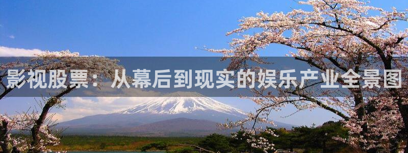 天龙影院远古电影：影视股票：从幕后到现实的娱乐产业全景图