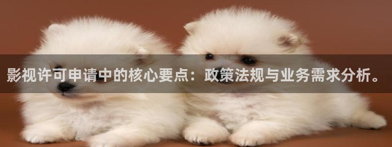 天龙高清影院手机版：影视许可申请中的核心要点：政策法规与业务需求分析。